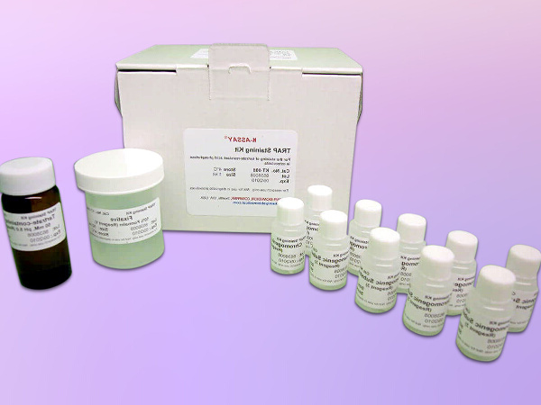 TRAP Staining Kit抗酒石酸酸性磷酸酶TRAP 染色试剂盒