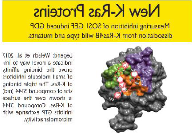 New K-Ras proteins-