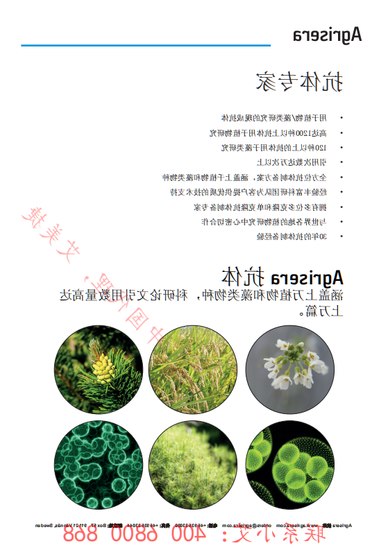 植物WB指南-中文版-kok全站app官网登录-Kok全站官网登录
_01.png