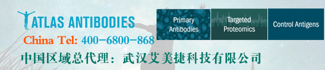 Atlas-antibodiesyabo亚博网站首页888
联系方式