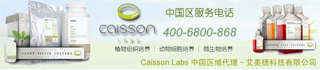 Caisson代理商yabo亚博网站首页888
科技