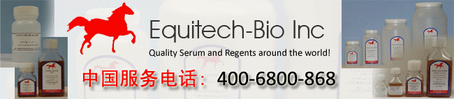 equitech bio代理yabo亚博网站首页888
科技