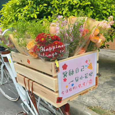 北京宠物美容知识