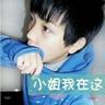 宠物小知识公众号